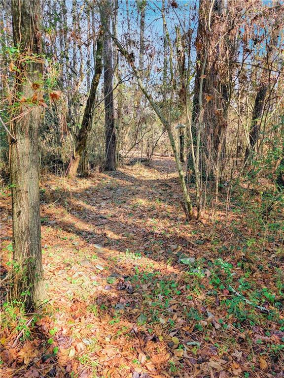 1785 Meadowdale Avenue Northeast Atlanta, GA 30306 - Photo 47 of 74