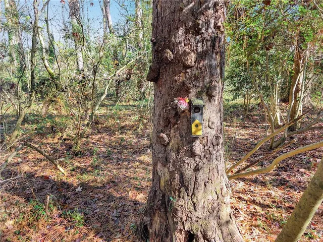 $1,995,000 | 1785 Meadowdale Avenue Northeast, Atlanta, GA 30306