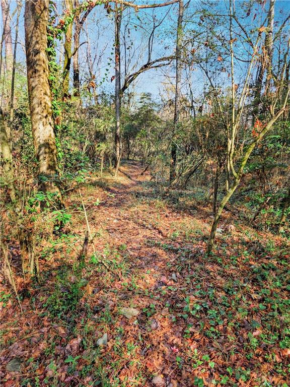 1785 Meadowdale Avenue Northeast Atlanta, GA 30306 - Photo 51 of 74