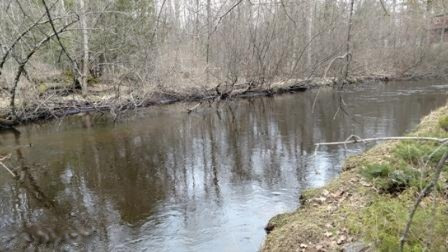 6651 James Road Baldwin, MI 49304 - Photo 2 of 40 IMG_20170328_111444854