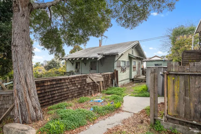 a view of house with a garden