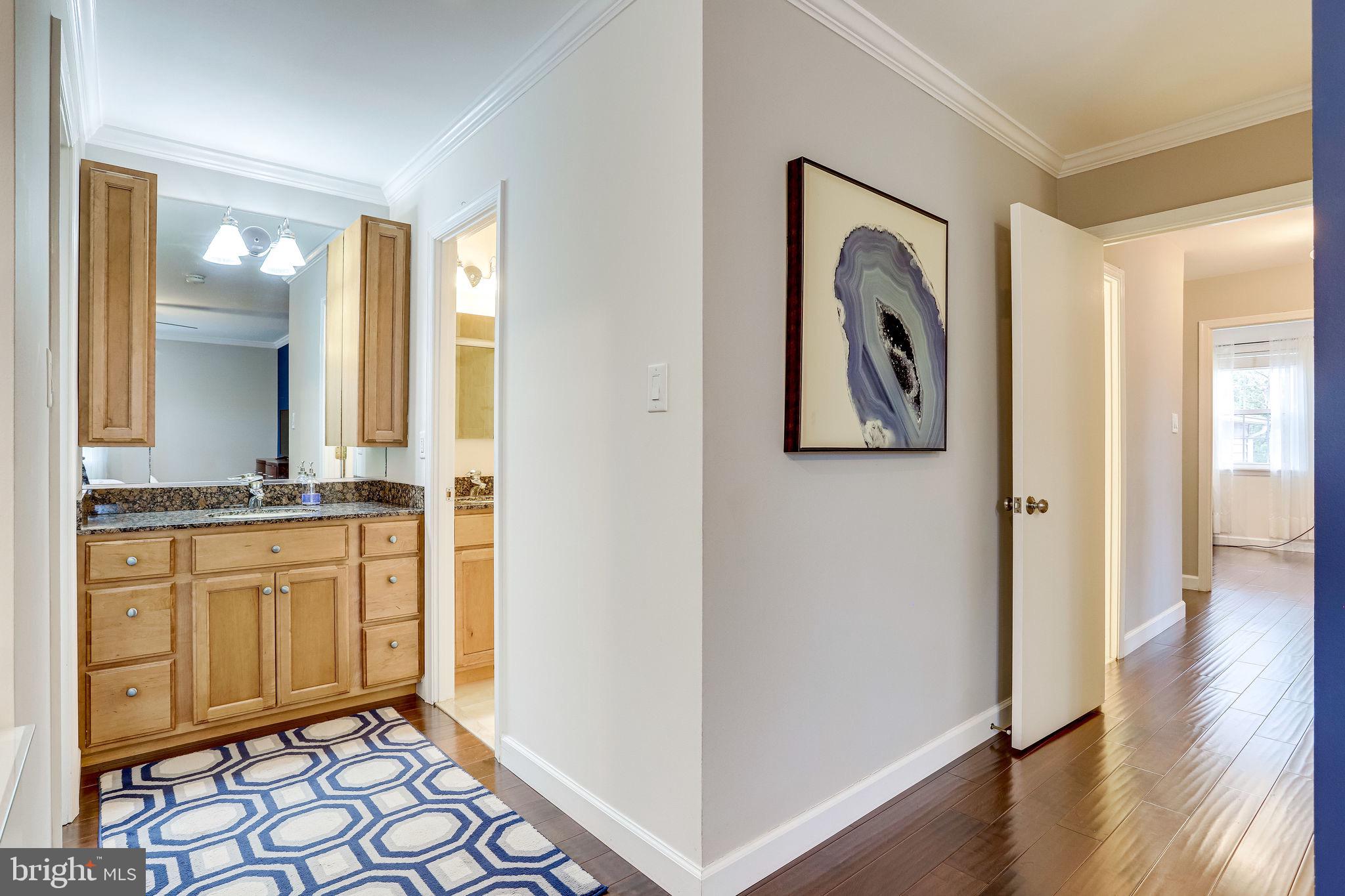 11306 Handlebar Road Reston, VA 20191 - Photo 37 of 82 Master bathroom