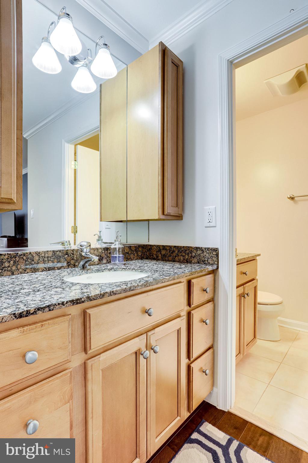 11306 Handlebar Road Reston, VA 20191 - Photo 40 of 82 Master bathroom