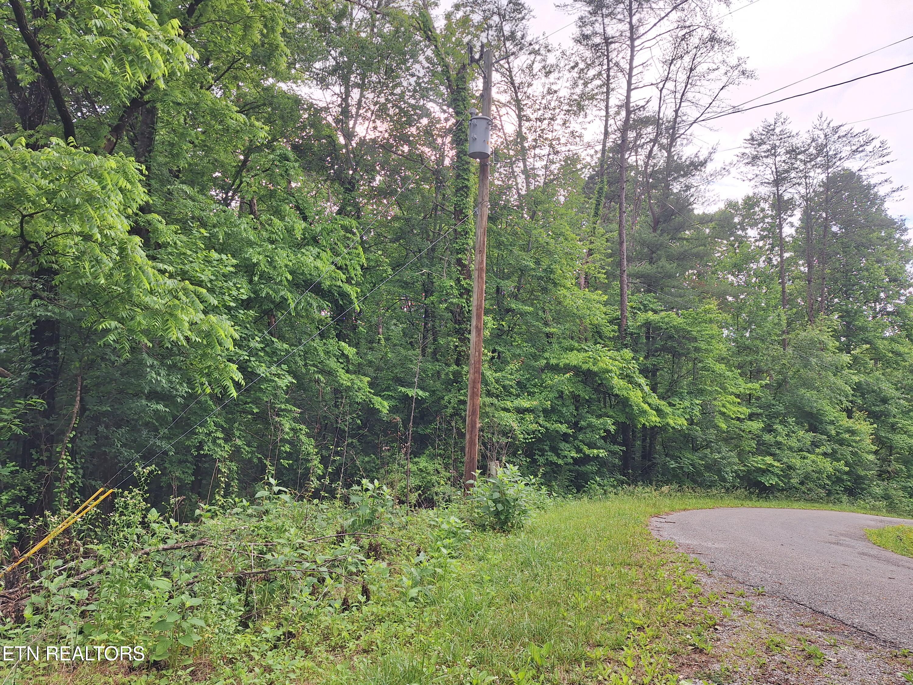160 Mountain Road Tellico Plains, TN 37385 - Photo 4 of 10 20260521_181231