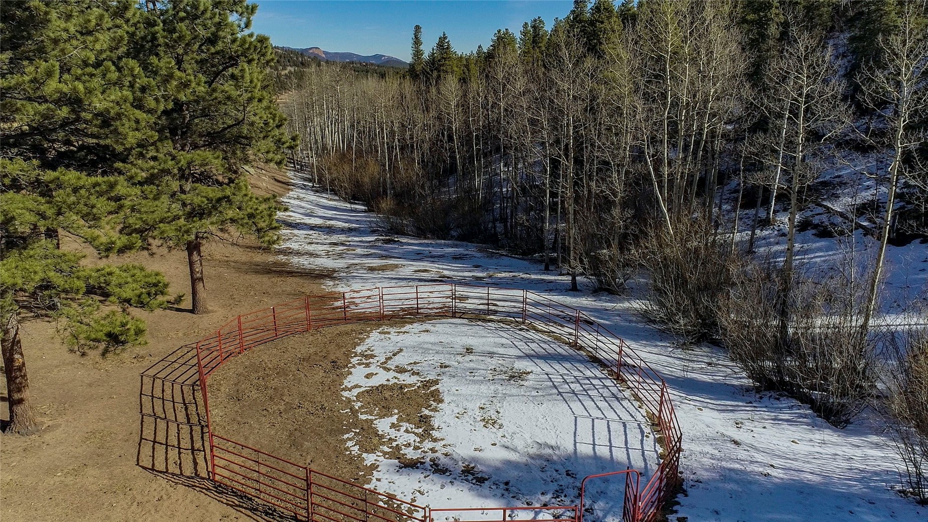 637 Rock Road Bailey, CO 80421 - Photo 26 of 50 Round Pen