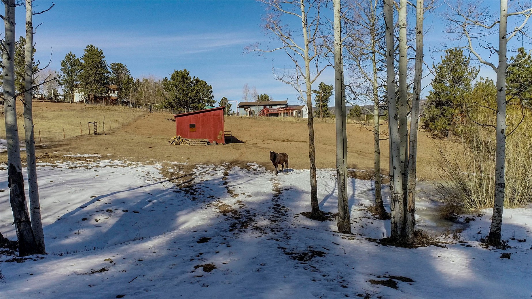 637 Rock Road Bailey, CO 80421 - Photo 27 of 50 Loafing shed