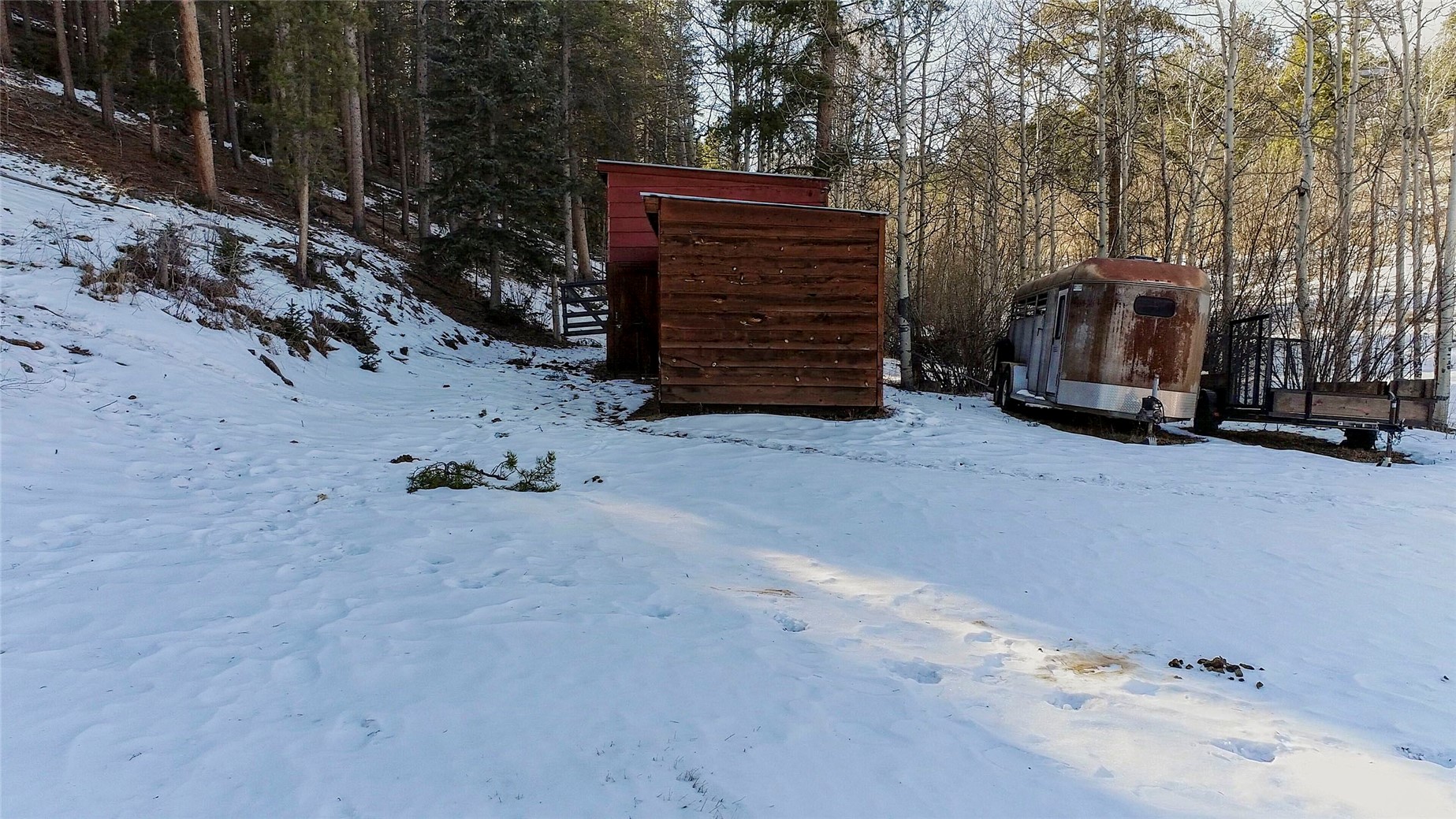 637 Rock Road Bailey, CO 80421 - Photo 44 of 50