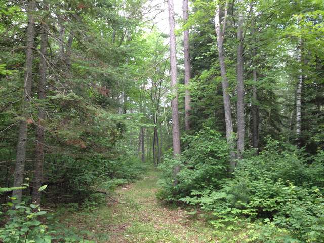 146-ac River Road Manitowish Waters, WI 54545 - Photo 8 of 20 Gallery Image 8