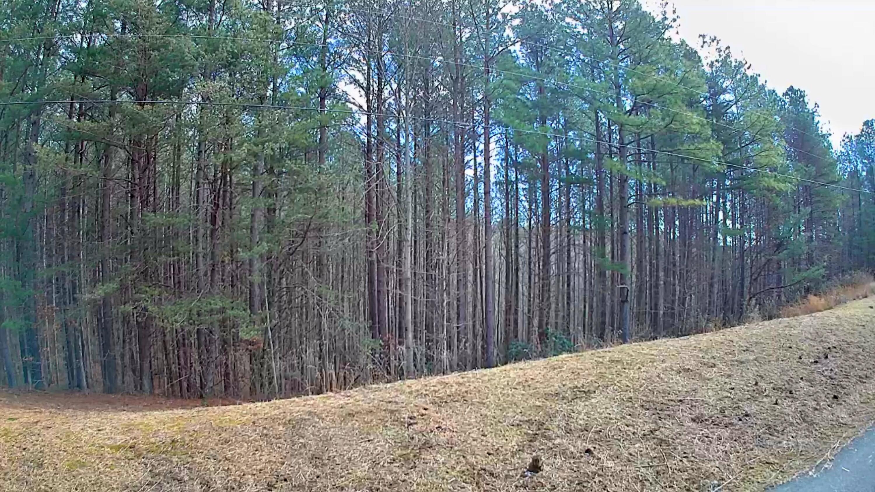 0 Sunset Road, Unit 520 Rock Island, TN 38581 - Photo 14 of 27 IMG_20260206_1049025