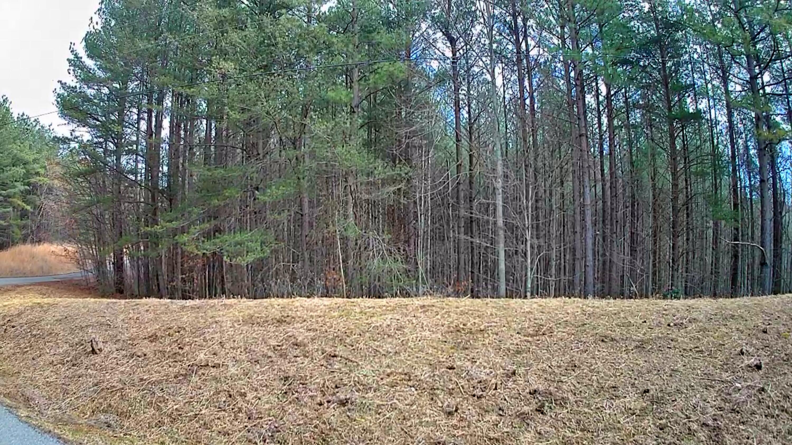 0 Sunset Road, Unit 520 Rock Island, TN 38581 - Photo 18 of 27 IMG_20260206_1055015