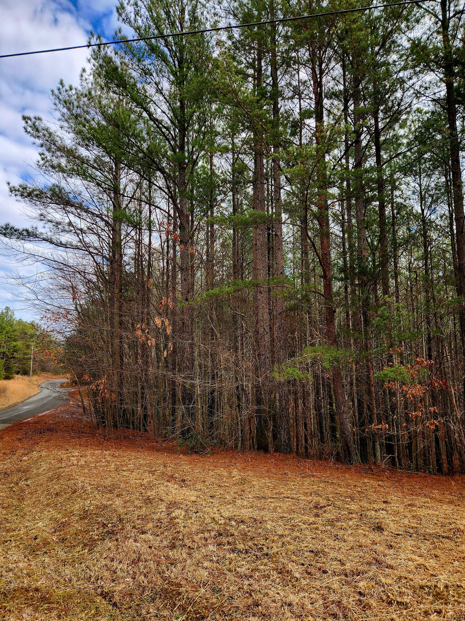 0 Sunset Road, Unit 520 Rock Island, TN 38581 - Photo 21 of 27 20260206_105617