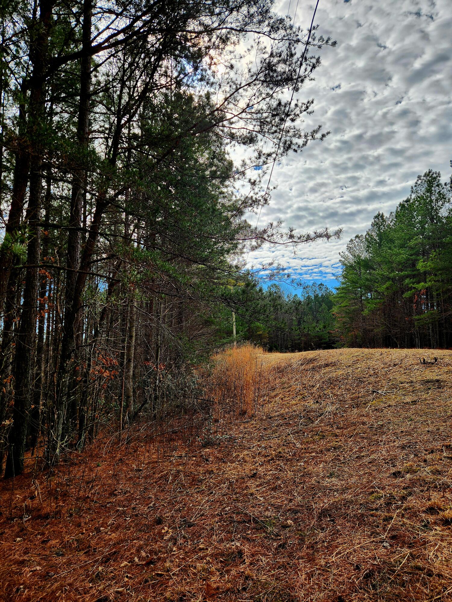 0 Sunset Road, Unit 520 Rock Island, TN 38581 - Photo 23 of 27 20260206_105635