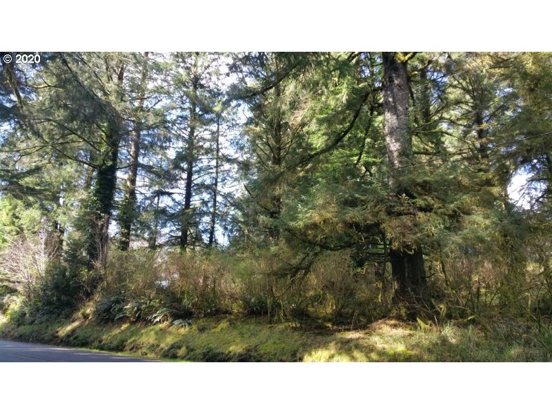 Boy Scout Road, Unit 200 Florence, OR 97439 - Photo 2 of 6