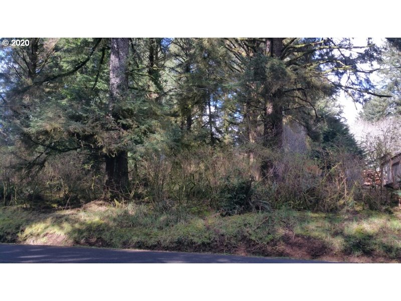 Boy Scout Road, Unit 200 Florence, OR 97439 - Photo 3 of 6