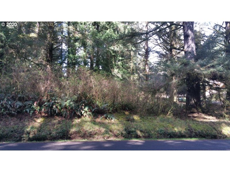 Boy Scout Road, Unit 200 Florence, OR 97439 - Photo 4 of 6