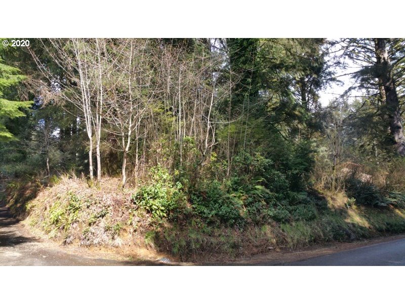 Boy Scout Road, Unit 200 Florence, OR 97439 - Photo 5 of 6