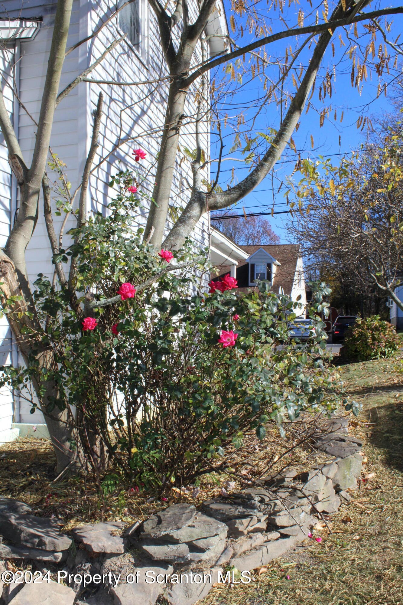 522 Packer Street Avoca, PA 18641 - Photo 31 of 37 Gallery Image 31