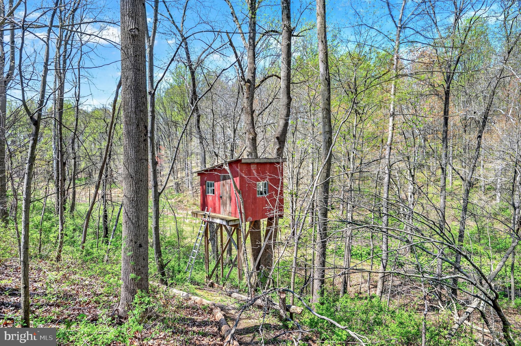 3200 Ferrier Road Manchester, MD 21102 - Photo 61 of 75