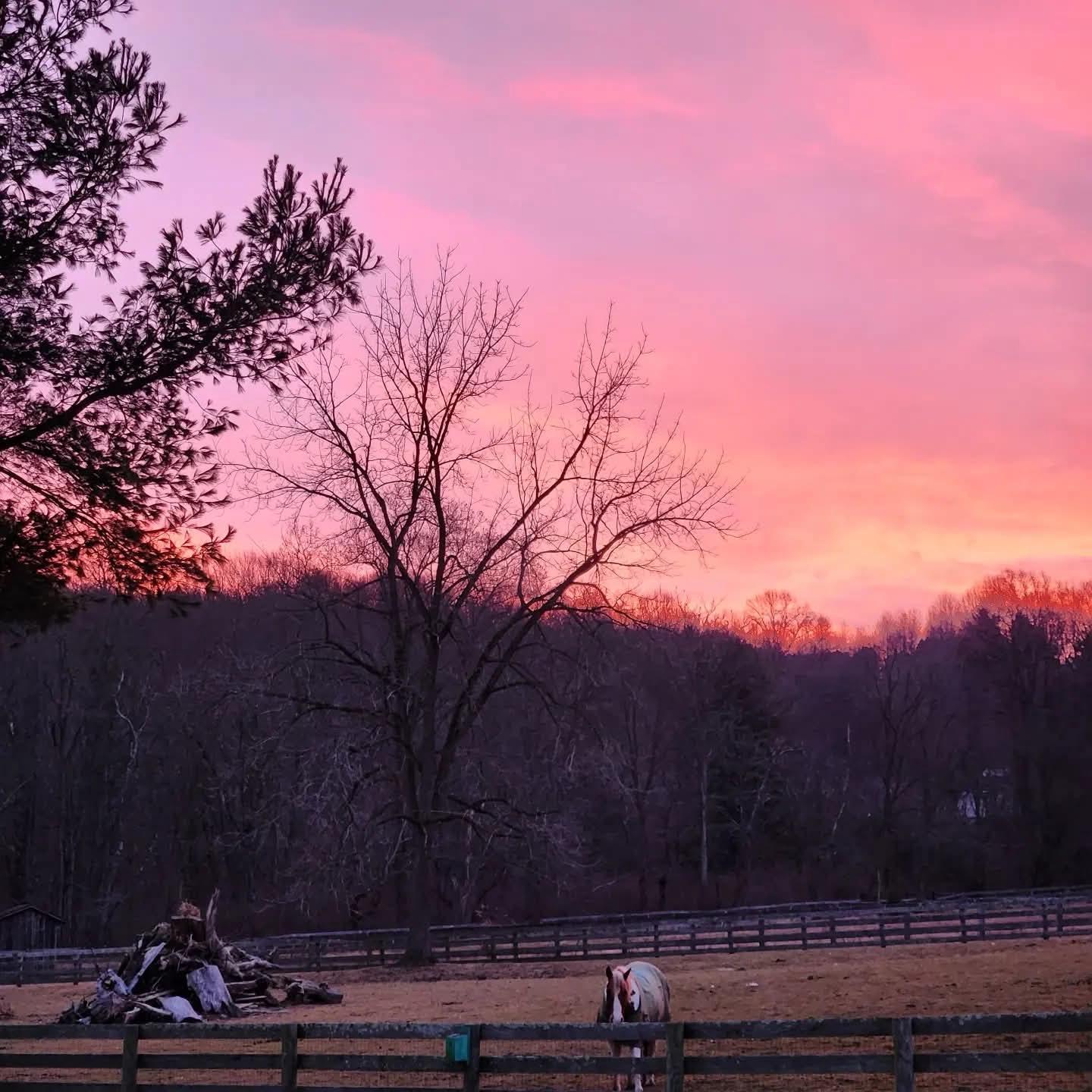 3200 Ferrier Road Manchester, MD 21102 - Photo 65 of 75 Serene sunset over tranquil pasture.