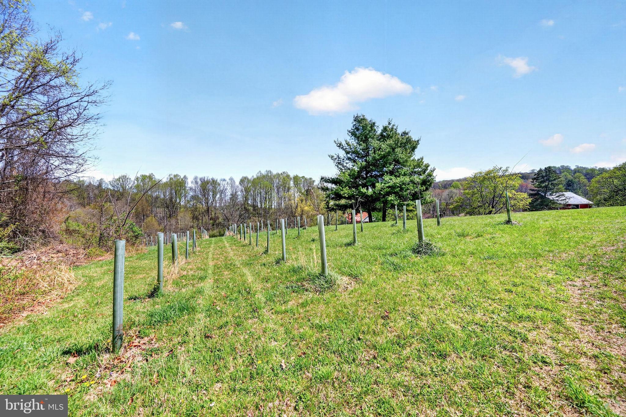 3200 Ferrier Road Manchester, MD 21102 - Photo 7 of 75