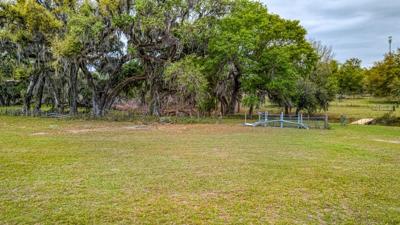 332 Northeast Forsythia Way Pinetta, FL 32350 - Photo 51 of 51