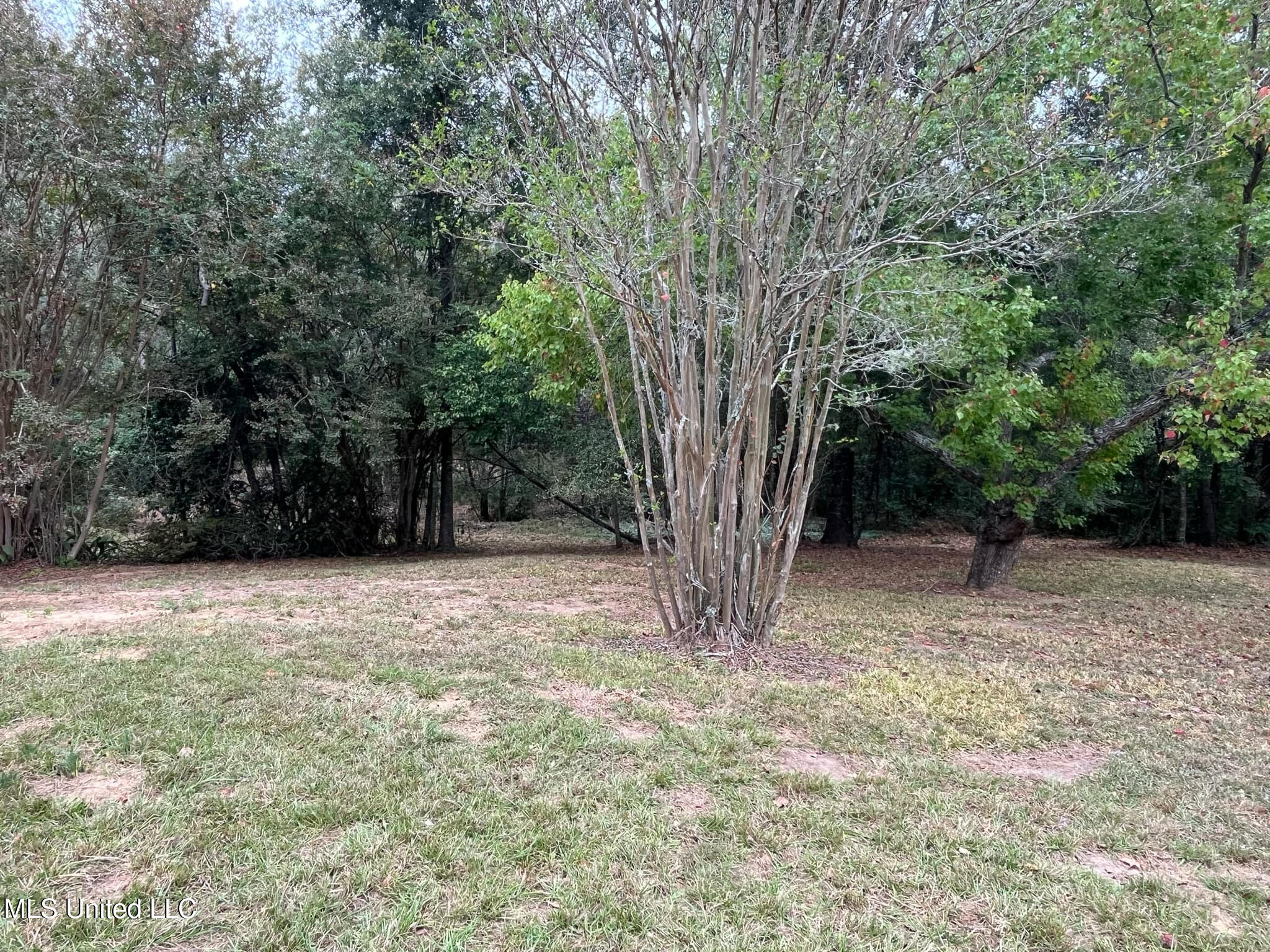 1062 Dry Creek Road Magee, MS 39111 - Photo 27 of 33 29