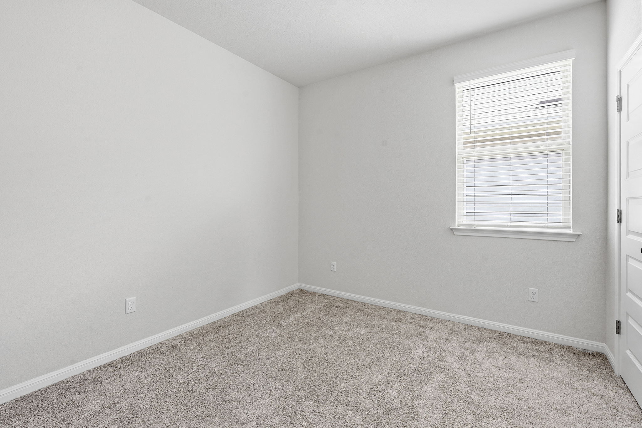 323 Tolo Drive Elgin, TX 78621 - Photo 23 of 29