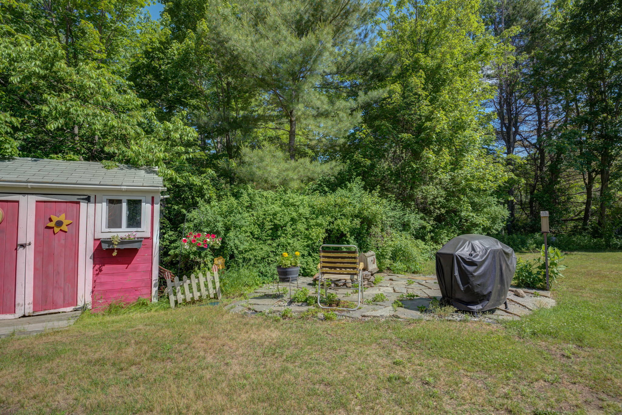 773 River Road Hollis Center, ME 04042 - Photo 37 of 59 Back yard