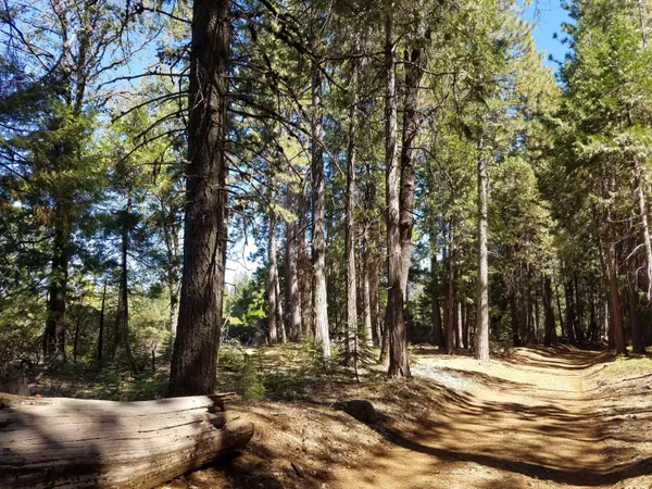 a view of outdoor space