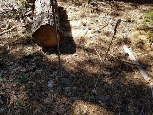 $40,000 | Lot 1 Eckert Lane, Shingletown, CA 96088