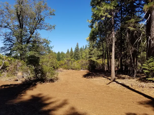 a view of outdoor space with trees all around