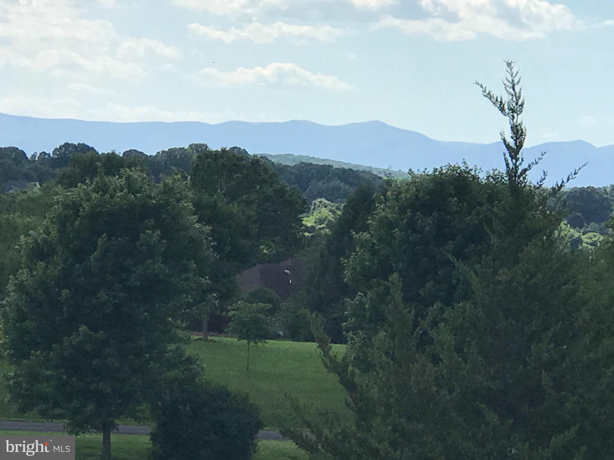 19321 Old Orange Road Culpeper, VA 22701 - Photo 3 of 28 View from front yard on a gorgeous clear day!