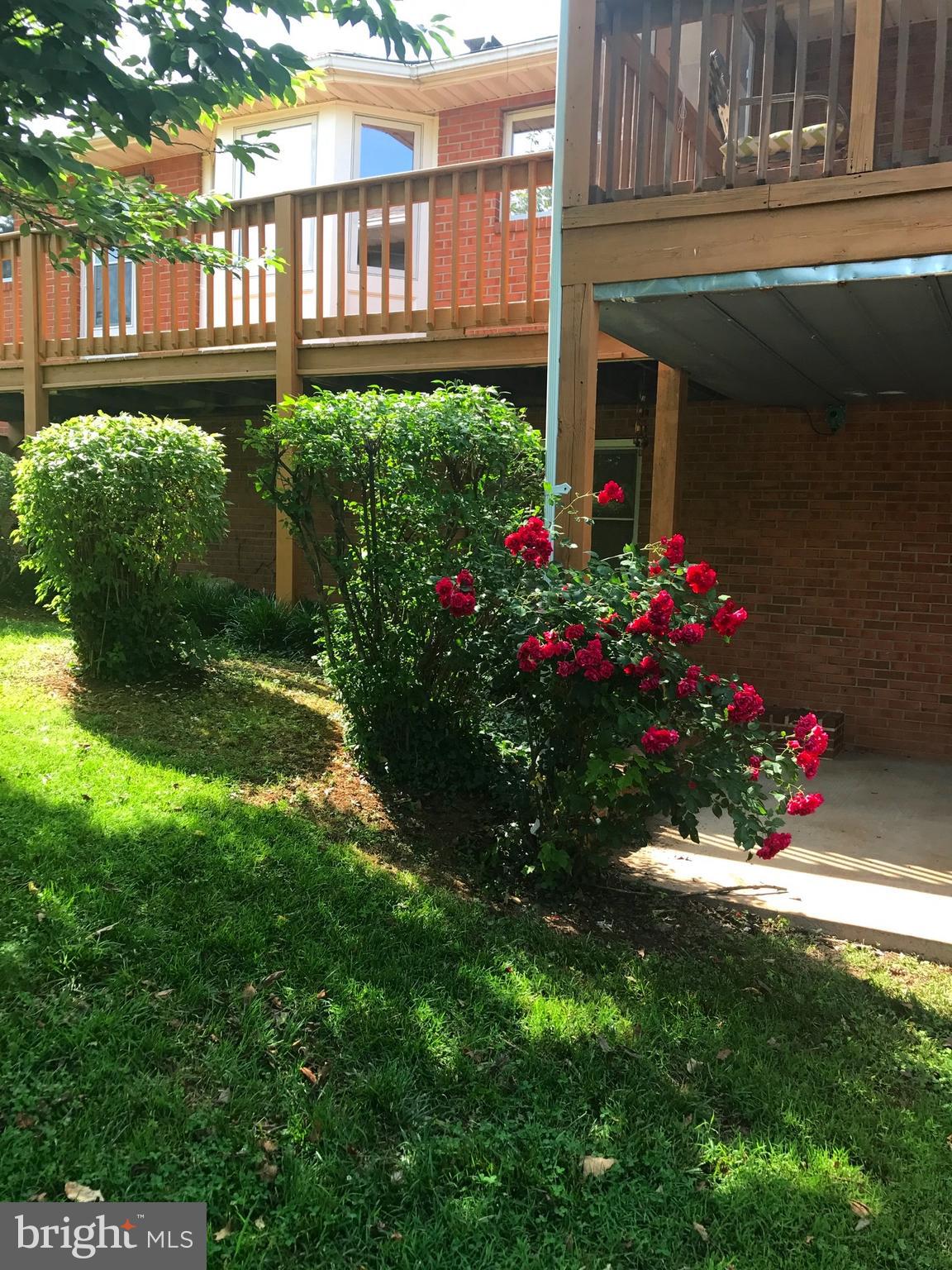 19321 Old Orange Road Culpeper, VA 22701 - Photo 23 of 28 Pretty knockout roses in backyard