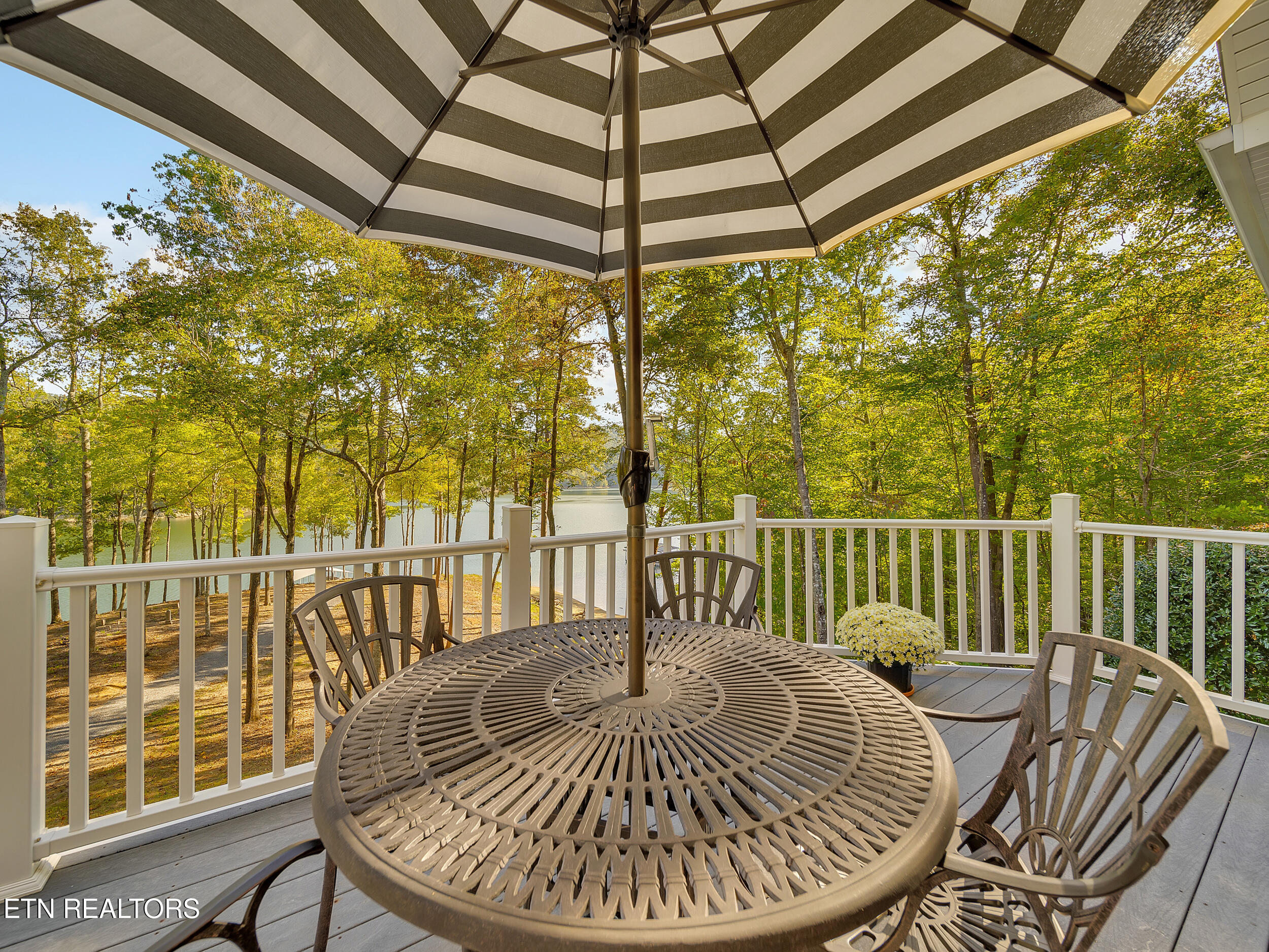 620 Bluff View Road New Tazewell, TN 37825 - Photo 11 of 51 72_72