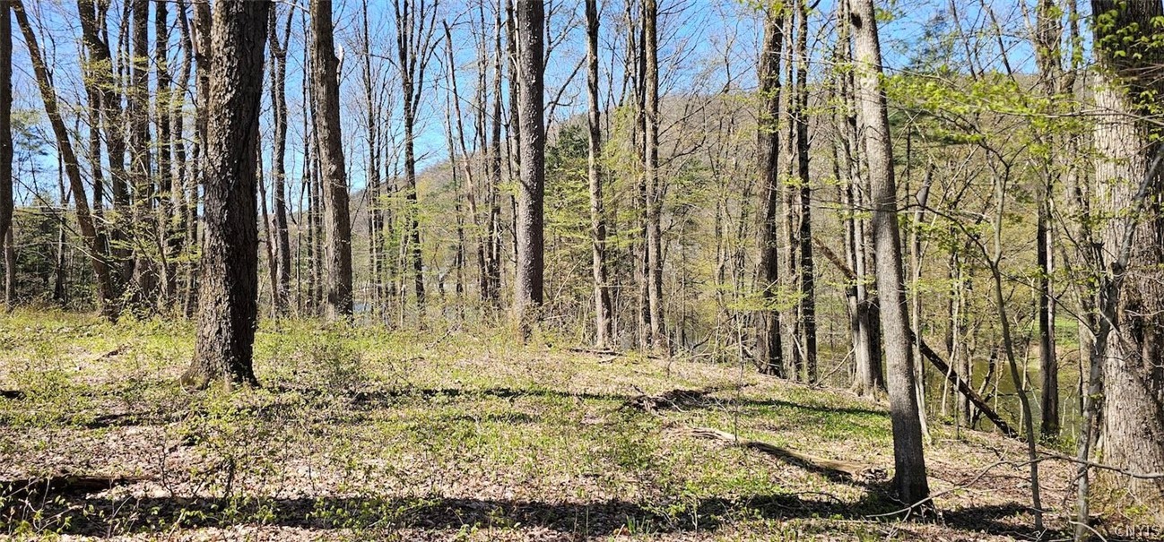 1720 County Route 12 De Ruyter, NY 13052 - Photo 26 of 49