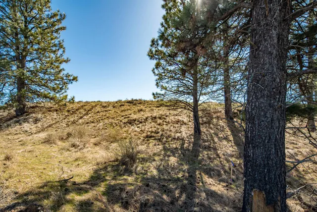 $116,215 | Lot 9 Unassigned Address, Sprague, WA 99032