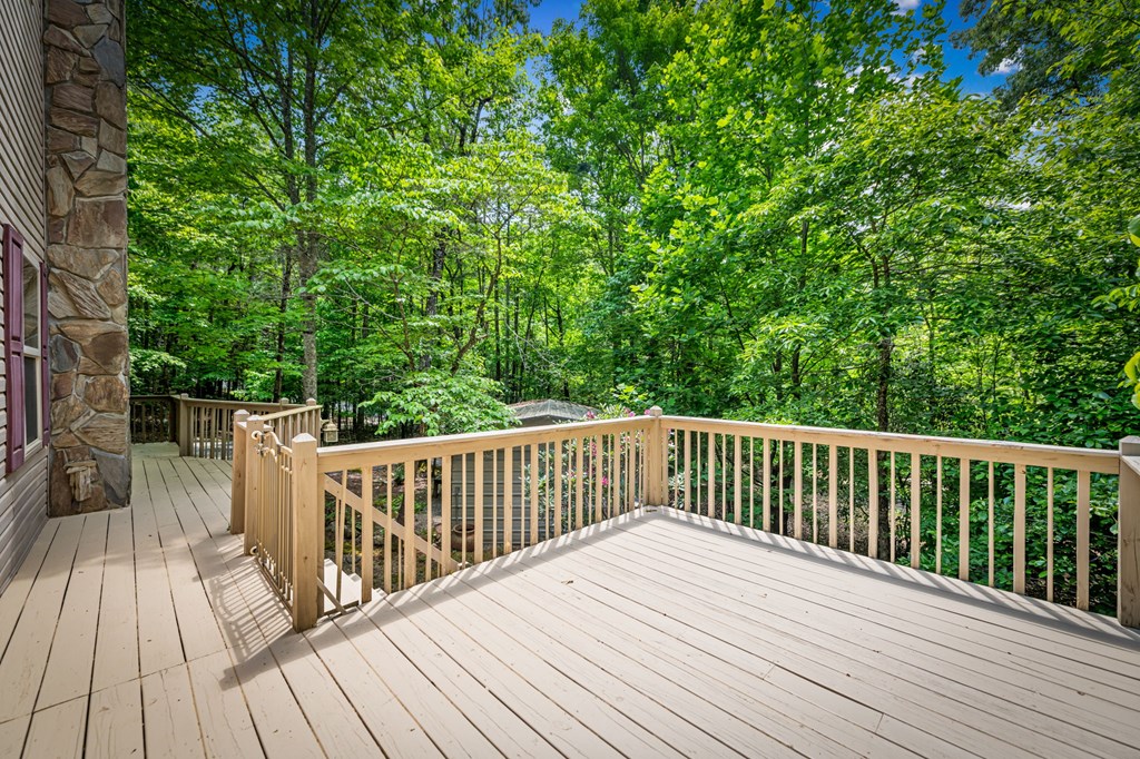 118 Foxfire Road Blairsville, GA 30512 - Photo 18 of 58