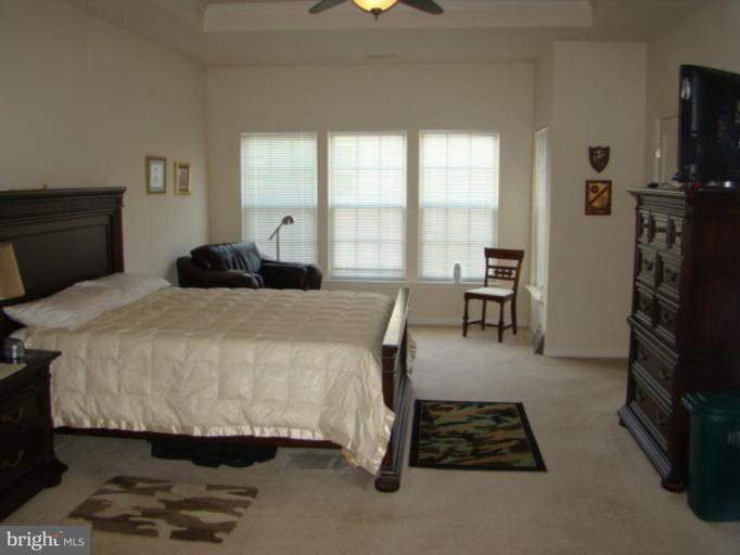 9204 Ribbon Falls Loop Bristow, VA 20136 - Photo 3 of 16 a bedroom with a bed and a window
