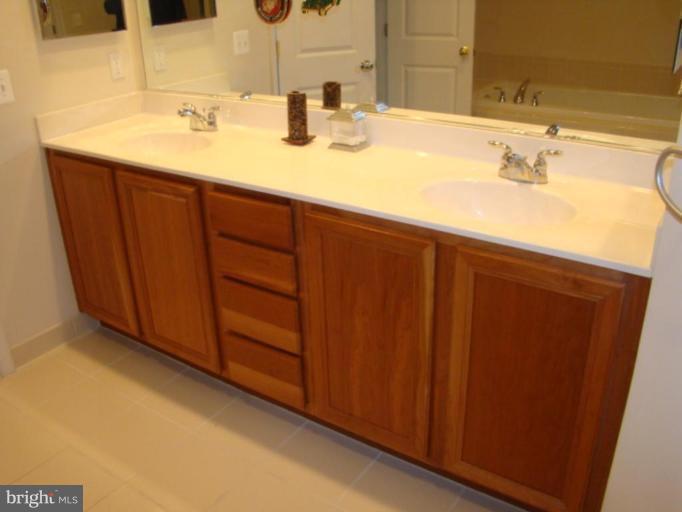 9204 Ribbon Falls Loop Bristow, VA 20136 - Photo 8 of 16 a bathroom with a sink and a mirror