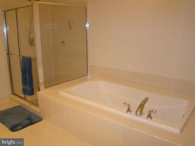 9204 Ribbon Falls Loop Bristow, VA 20136 - Photo 9 of 16 a bathroom with a bathtub