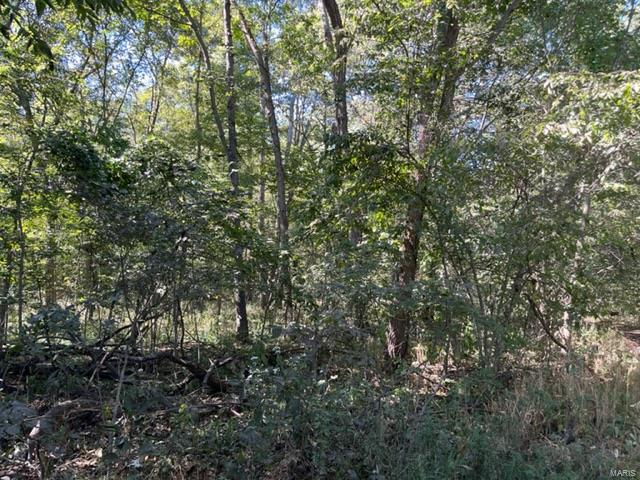 0 Dog Alley Road Carlyle, IL 62231 - Photo 1 of 2