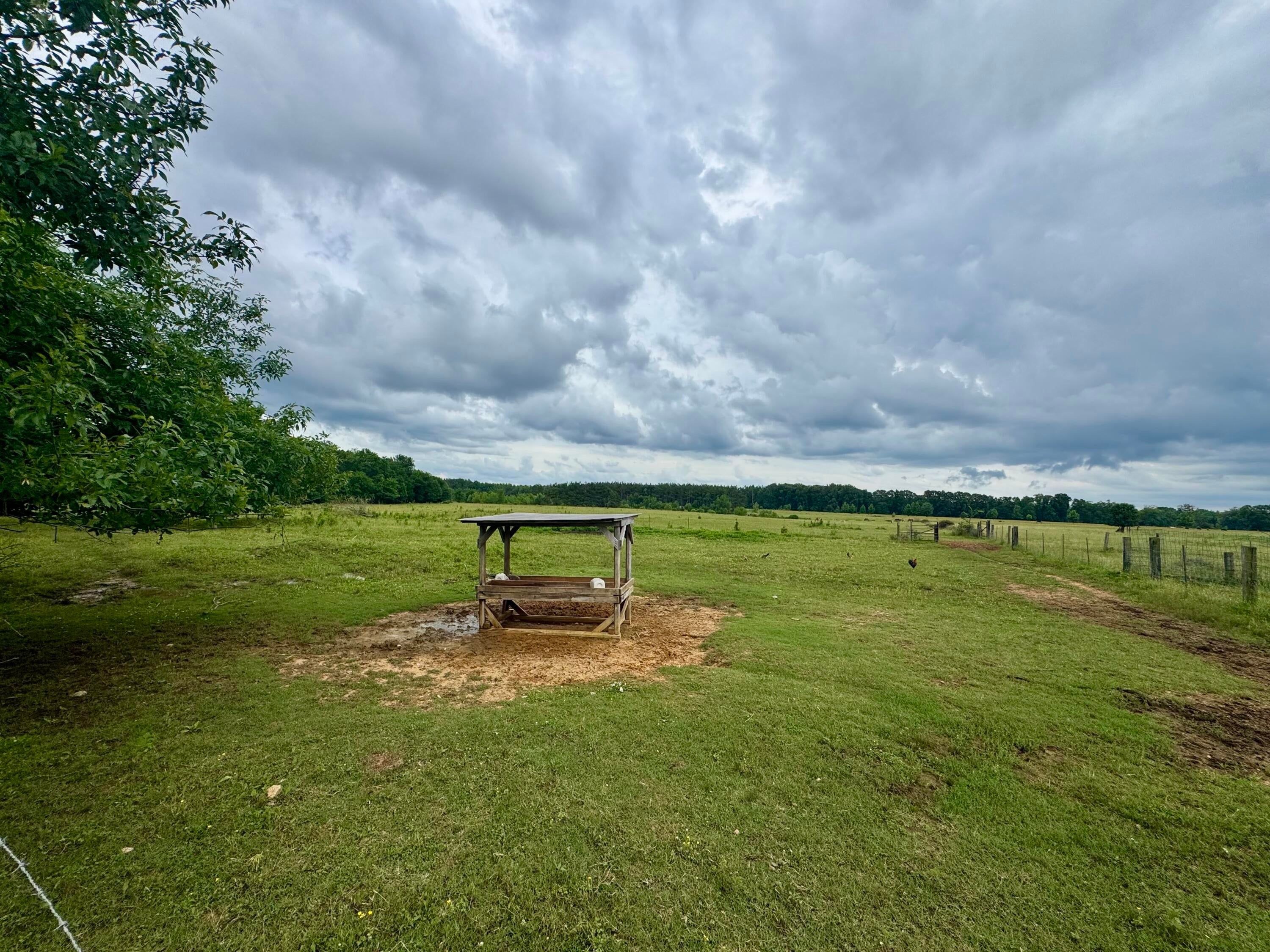 4547 Salmon Road Pontotoc, MS 38863 - Photo 48 of 61 image00009