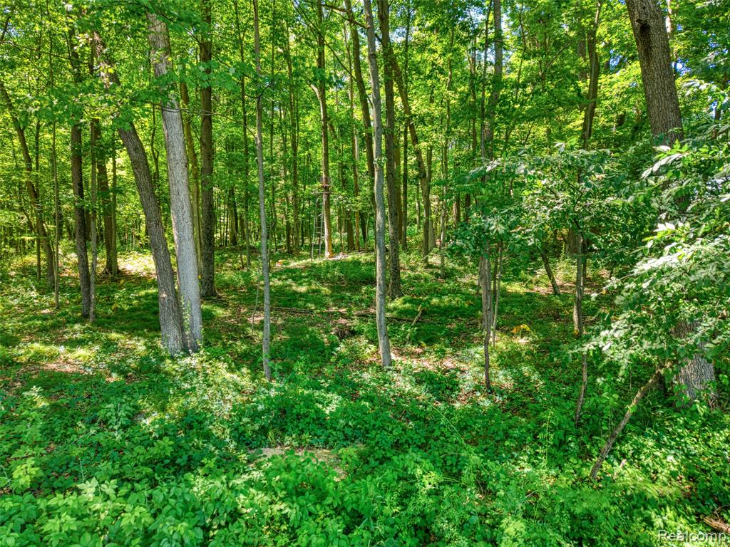 5663 Iosco Mountain Road Gregory, MI 48137 - Photo 6 of 13