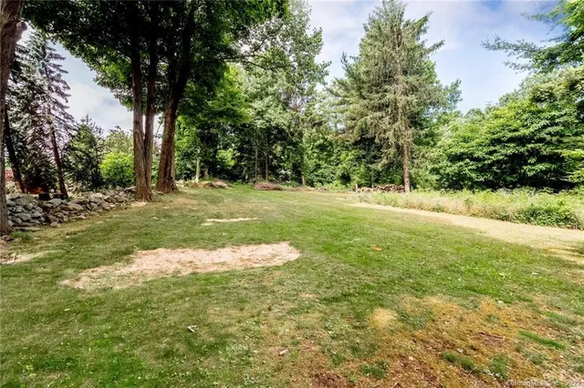 a view of a yard with a tree