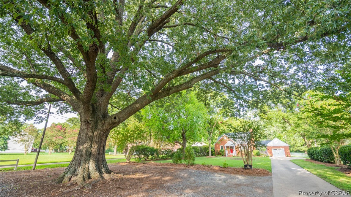 510 Whealton Road Hampton, VA 23666 - Photo 5 of 44 Massive great oak trees create the perfect setting.