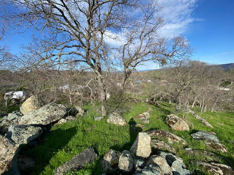 4241 Grisham Road Valley Springs, CA 95252 - Photo 13 of 22 a backyard of a house with lots of green space