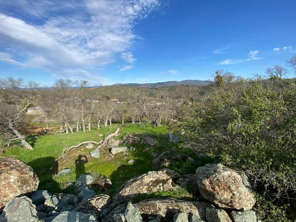 4241 Grisham Road Valley Springs, CA 95252 - Photo 16 of 22 a view of a city with lush green forest