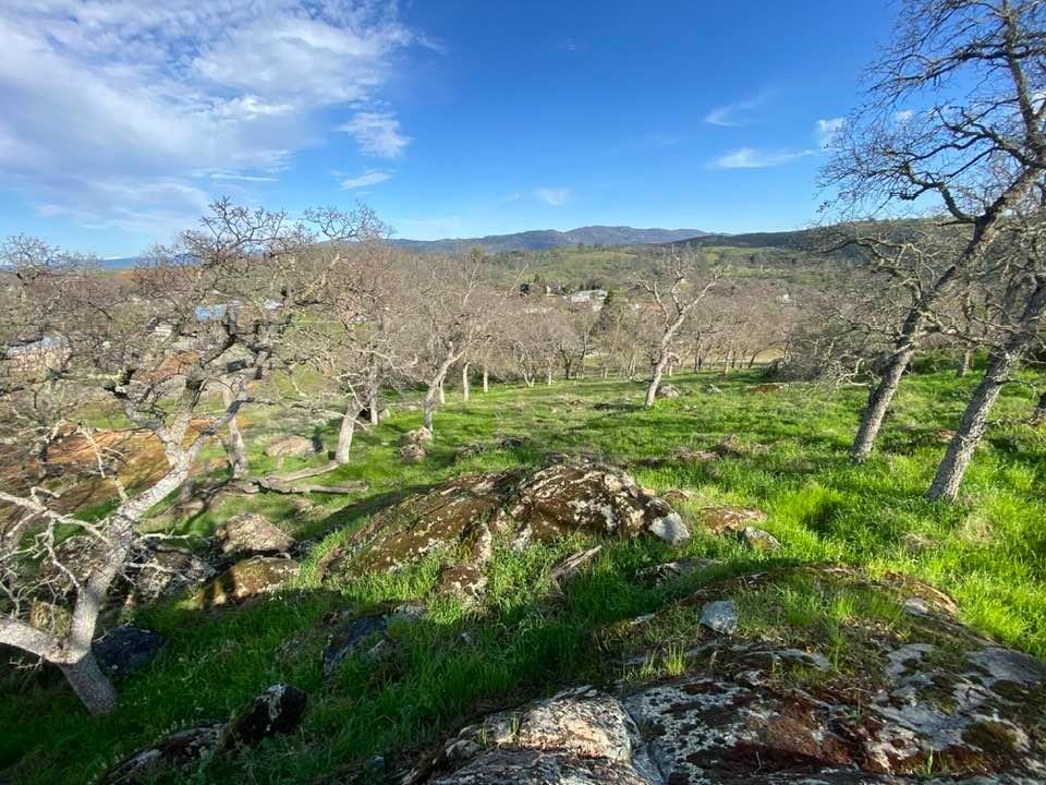 4241 Grisham Road Valley Springs, CA 95252 - Photo 5 of 22 a view of an outdoor space and a yard