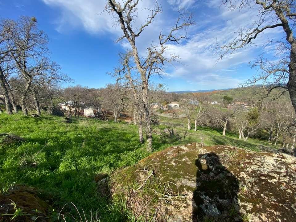 4241 Grisham Road Valley Springs, CA 95252 - Photo 8 of 22 a view of a yard with an trees