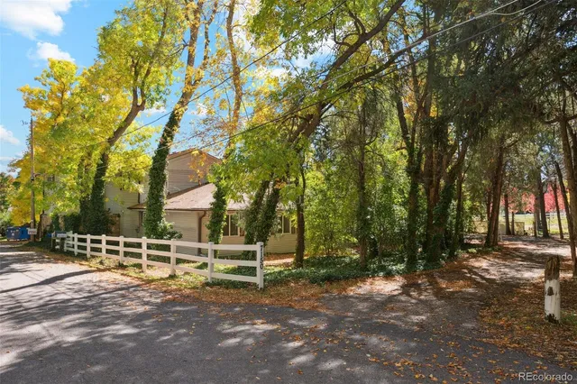 a view of a park with large trees